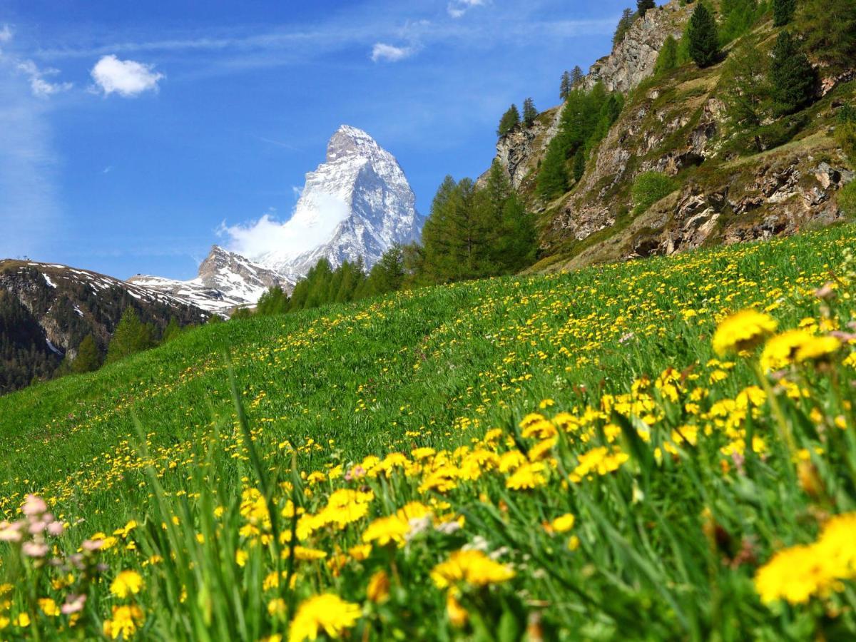Holiday Home Gaedi By Interhome Zermatt Kültér fotó